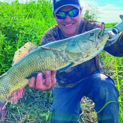 Atractivas alternativas para ir por taruchas de diferentes portes en las modalidades baitcasting, spinning, carnada natural o fly. 