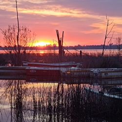 Atractivas alternativas para ir por taruchas de diferentes portes en las modalidades baitcasting, spinning, carnada natural o fly. 