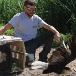 La liberación tuvo lugar tras un largo período de rehabilitación.