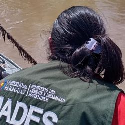 Se detectó un incremento en el uso de artes de pesca prohibidas y en la captura de ejemplares de pequeño tamaño, lo que pone en serio riesgo la conservación de las especies nativas.