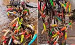 Pesca con sorpresa: recuperan un árbol repleto de señuelos perdidos