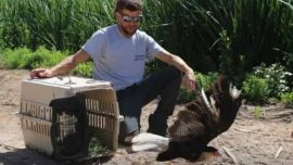 La liberación tuvo lugar tras un largo período de rehabilitación.