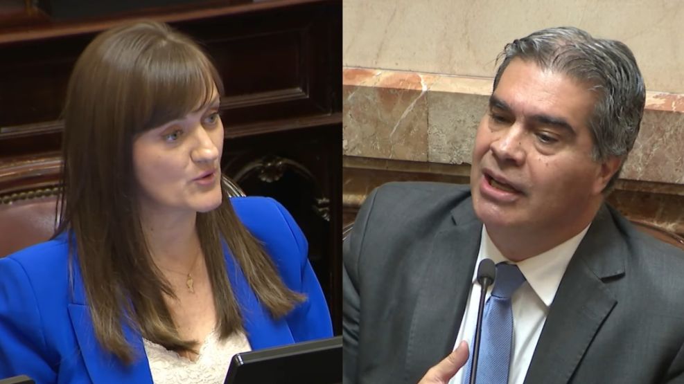 Schneider y Capitanich