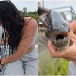 Si bien se trata de un lago artificial, la pelea del pacú mantiene intacta su deportividad y exige concentración en cada pique.