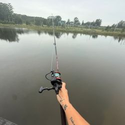 Si bien se trata de un lago artificial, la pelea del pacú mantiene intacta su deportividad y exige concentración en cada pique.