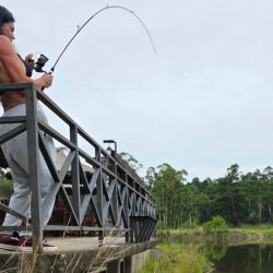 Si bien se trata de un lago artificial, la pelea del pacú mantiene intacta su deportividad y exige concentración en cada pique.