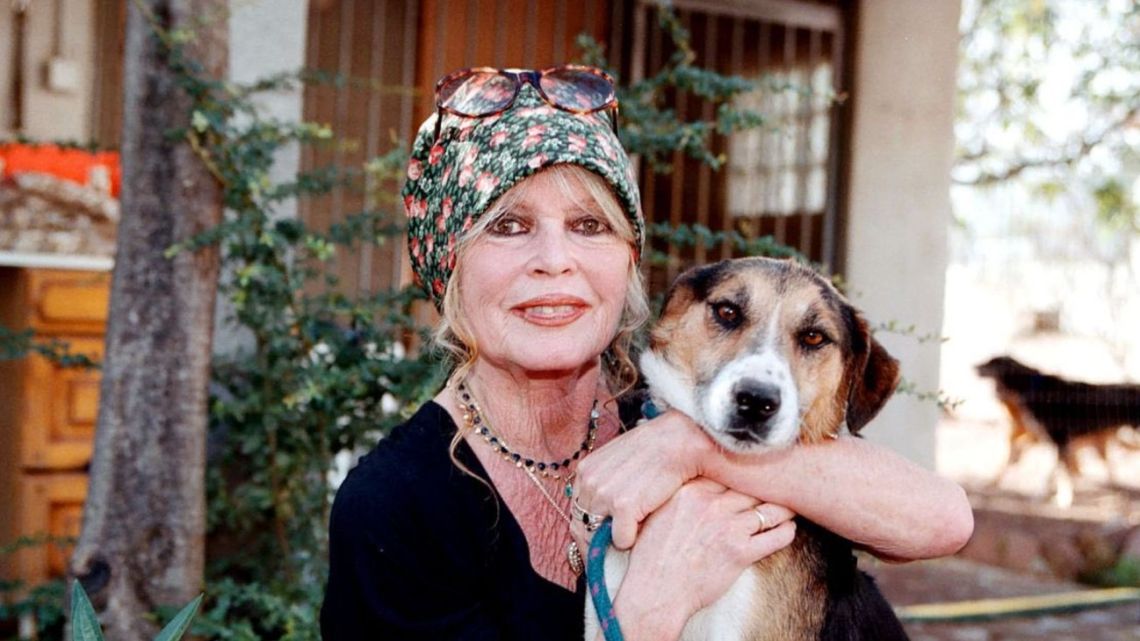 brigitte-bardot-2160554.jpg