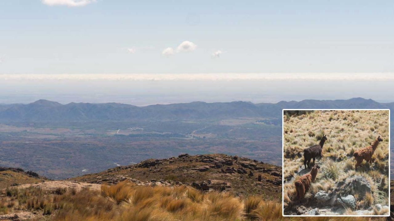 Paisaje de las Sierras de Córdoba con vegetación y lomadas