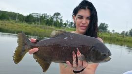 Si bien se trata de un lago artificial, la pelea del pacú mantiene intacta su deportividad y exige concentración en cada pique.
