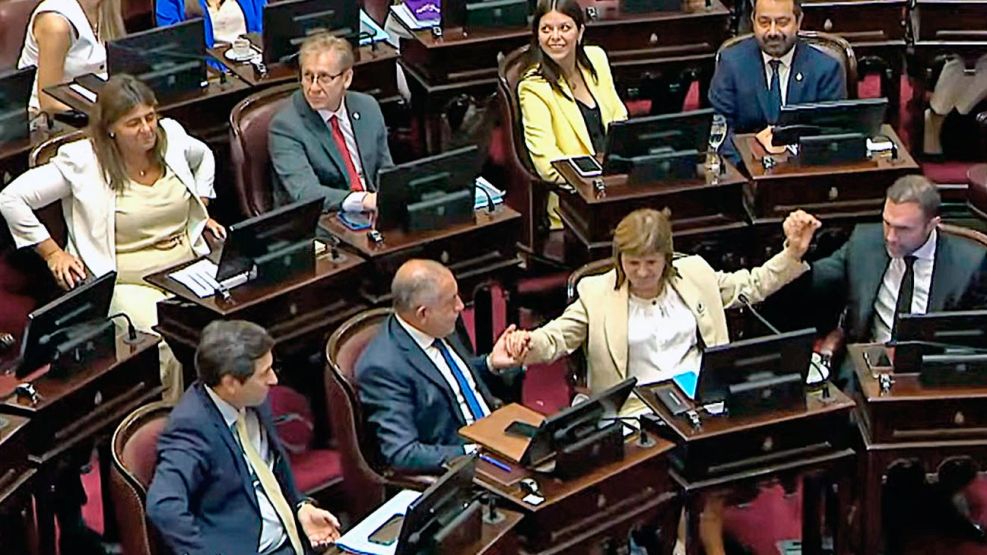 281225_patricia_bullrich_senado_g