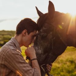 Los equinos fueron rehabilitados tras ser rescatados del maltrato.