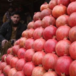 Granadas a la venta son vistas, en Kabul, Afganistán. Afganistán ha exportado granadas de la provincia de Kandahar a Qatar por primera vez, lo que representa un paso significativo en la expansión de los productos agrícolas del país a nuevos mercados internacionales. | Foto:Xinhua/Saifurahman Safi