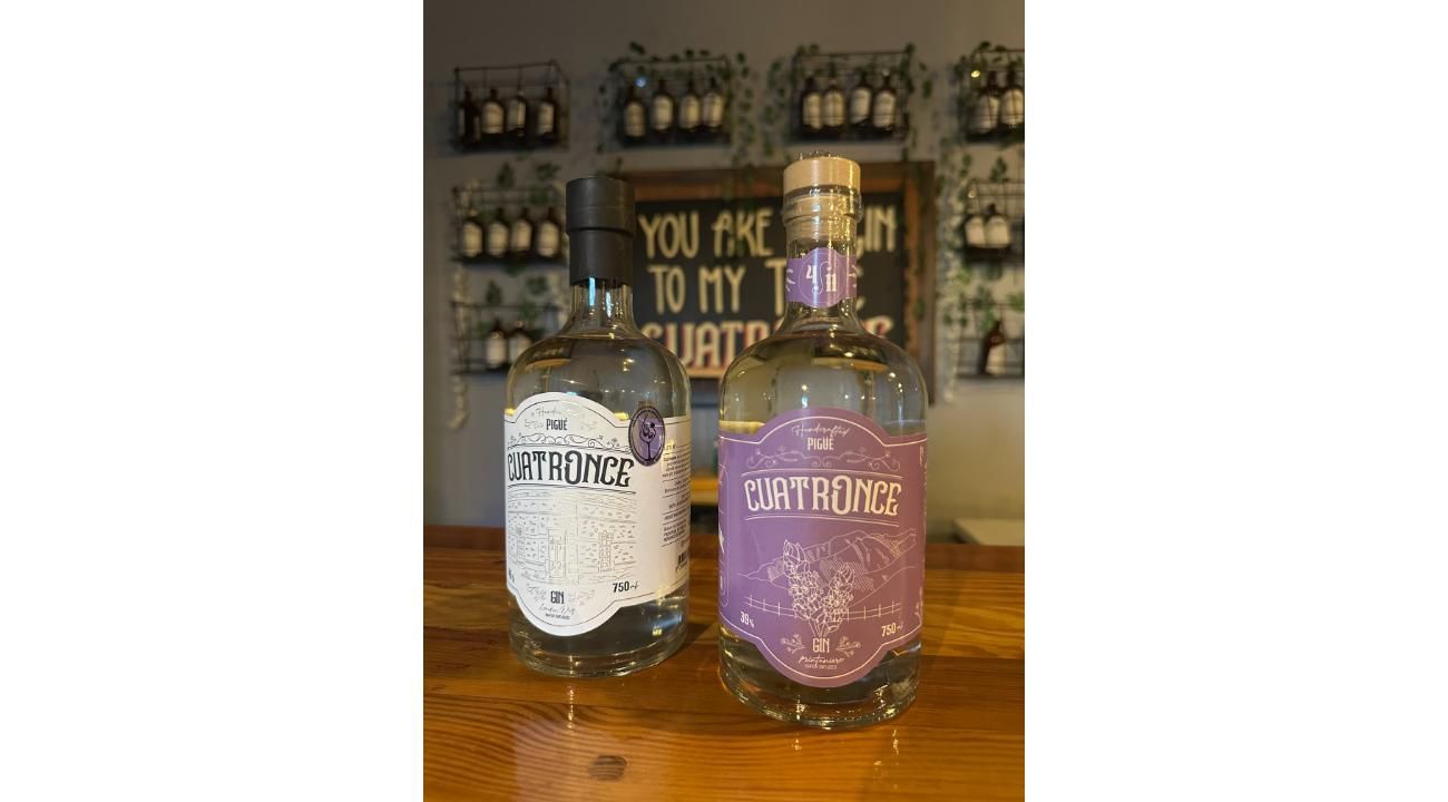 Cuatronce, el gin que conquistó el oro en Mendoza