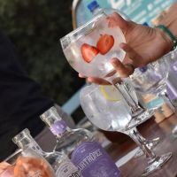 Cuatronce, el gin que conquistó el oro en Mendoza
