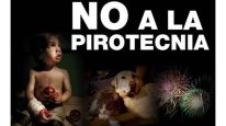 Fiestas sin pirotecnia: un llamado urgente a la conciencia y al respeto por la vida