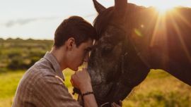 Los equinos fueron rehabilitados tras ser rescatados del maltrato.