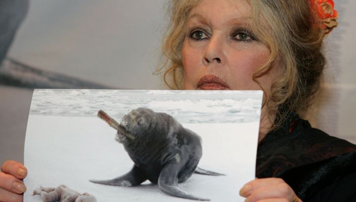 La causa que eligió para siempre: Brigitte Bardot y la defensa de los animales