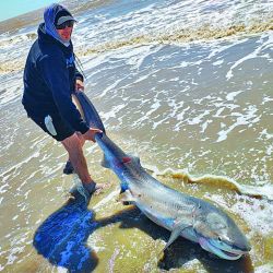 Con laRecorrimos playas, canales y escolleras desde Mar de Ajó hasta Miramar, para tomarle el pulso a la variada costera.