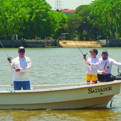 La temporada dorada explotó en Berisso y el Río de la Plata volvió a entregar jornadas intensas llenas de acción. 