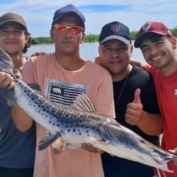 Más allá de la pesca, Victoria ofrece múltiples alternativas: pesca embarcada y de costa, buenos servicios, campings, alojamientos y la posibilidad de disfrutar del delta en familia o con amigos.