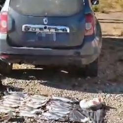 Los operativos vuelven a poner en agenda una problemática que sigue afectando seriamente a los ríos y embalses del país. 