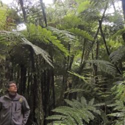 La ecorregión selva Paranaense es una de las 15 ecorregiones comprendidas en el Complejo Ecorregional Bosque Atlántico o Mata atlántica, y la que mantiene la mayor cantidad de remanentes forestales del Complejo