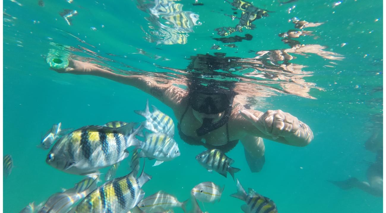 La travesía de volver a ser vos