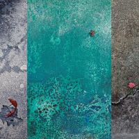 Cierre de un año de pinceladas y palabras compartidas