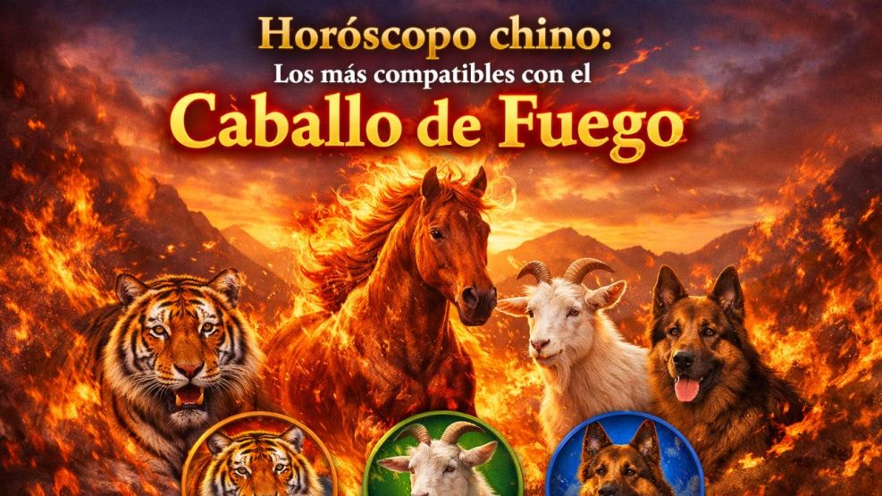 Horóscopo Chino: los animales que serán compatibles con el Caballo de Madera en el 2026