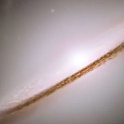 La supernova fue identificada tras confirmar con telescopios terrestres como el Very Large Telescope del Observatorio Europeo Austral que el GRB se originó en una región extremadamente distante del cosmos