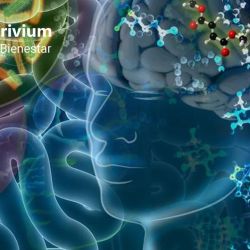 Inflamación y Nutrición  | Foto:CONTENTNOTICIAS