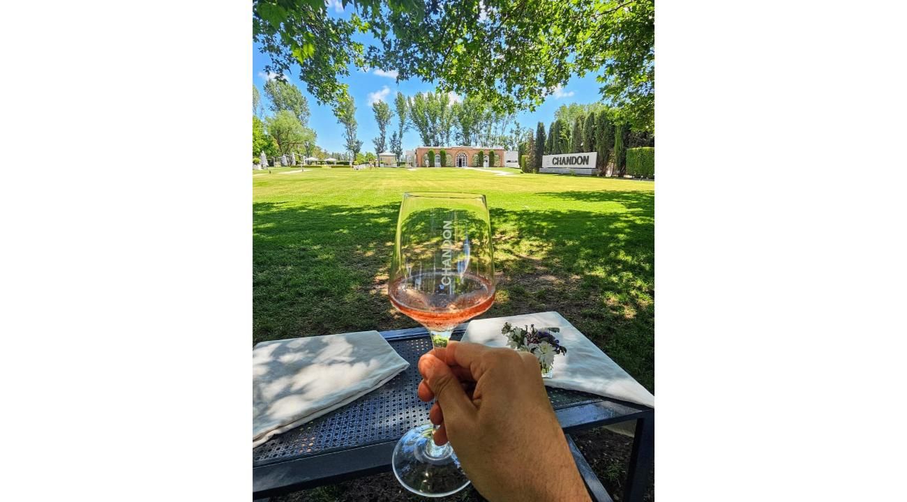 Guía para recorrer los Caminos del Vino de Mendoza en 2026: cómo funciona Bus Vitivinícola