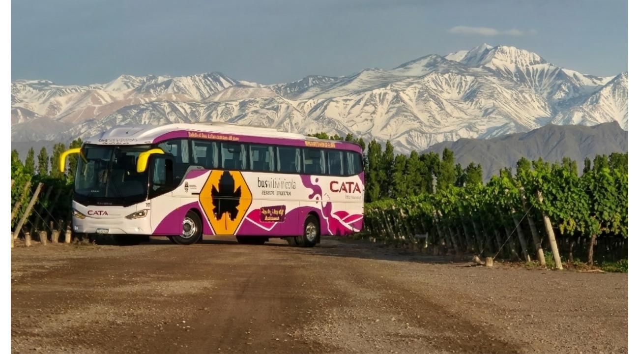 Guía para recorrer los Caminos del Vino de Mendoza en 2026: cómo funciona Bus Vitivinícola