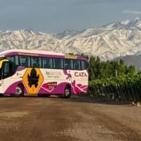 Guía para recorrer los Caminos del Vino de Mendoza en 2026: cómo funciona Bus Vitivinícola