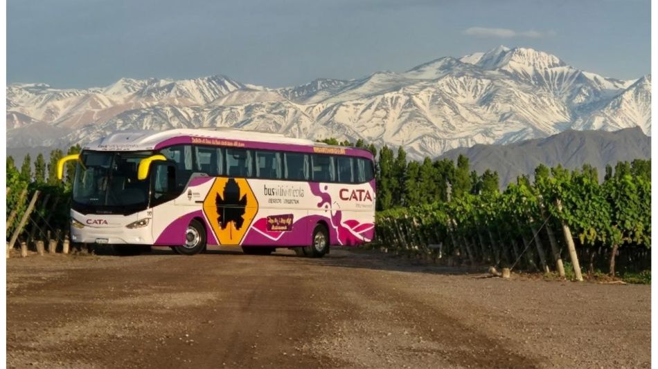 Guía para recorrer los Caminos del Vino de Mendoza en 2026: cómo funciona Bus Vitivinícola