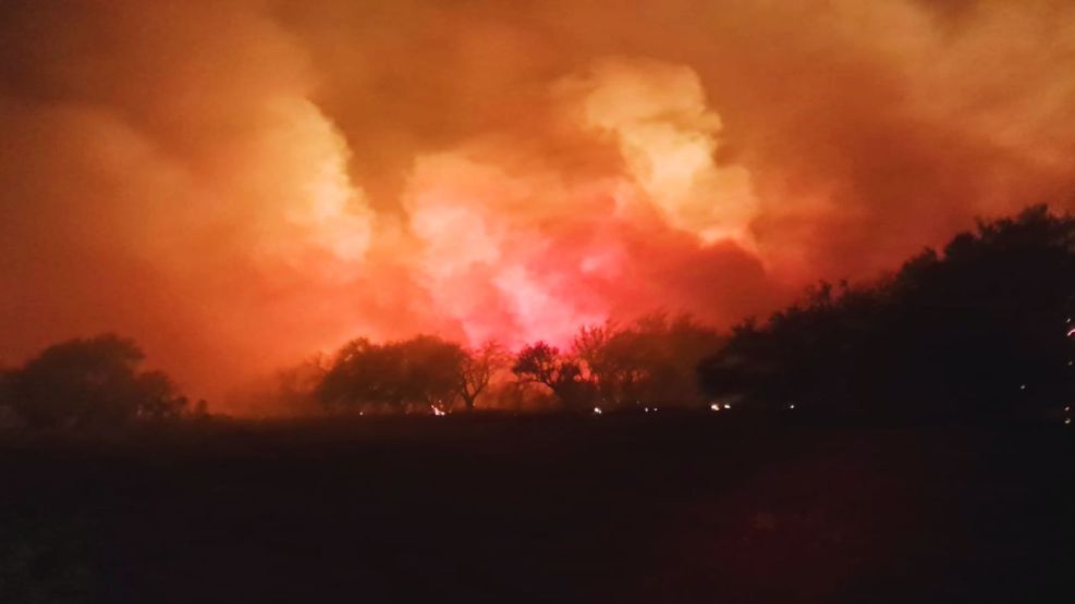 Arde La Pampa: los incendios forestales ya arrasaron con más de 83 mil hectáreas - Image 2