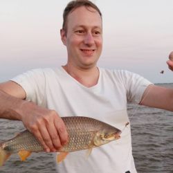 Buen pique en las primeras horas del nuevo año en gran parte del país.