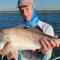 La pesca viene rindiendo muy bien en toda la costa bonaerense. Desde el norte, con Santa Teresita como referencia, pasando por la franja central, hasta el sur, con escenarios como Monte Hermoso, Bahía San Blas o La Chiquita, los resultados han sido más que alentadores.