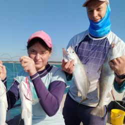 La pesca viene rindiendo muy bien en toda la costa bonaerense. Desde el norte, con Santa Teresita como referencia, pasando por la franja central, hasta el sur, con escenarios como Monte Hermoso, Bahía San Blas o La Chiquita, los resultados han sido más que alentadores.
