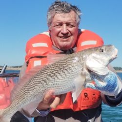 La pesca viene rindiendo muy bien en toda la costa bonaerense. Desde el norte, con Santa Teresita como referencia, pasando por la franja central, hasta el sur, con escenarios como Monte Hermoso, Bahía San Blas o La Chiquita, los resultados han sido más que alentadores.