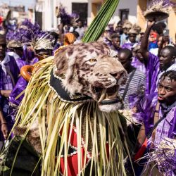 Miembros de la Sociedad de Caza "Odilleh" portan una cabeza de tigre disecada por las calles antes del Festival Anual de Caza en Banjul, Gambia. | Foto:MUHAMADOU BITTAYE / AFP