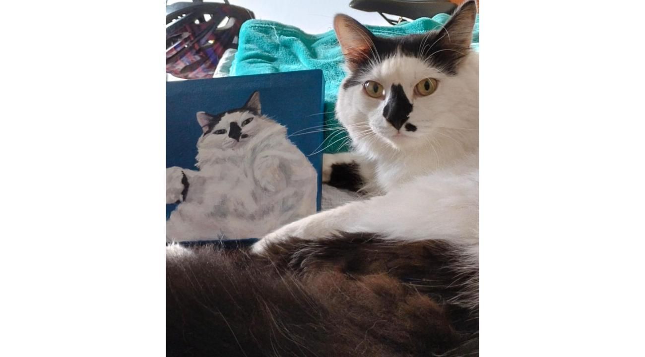 Peludos Pintados: más que un retrato de una mascota