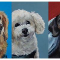 Peludos Pintados: más que un retrato de una mascota