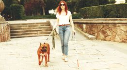 Crece la tendencia de la caninoterapia.