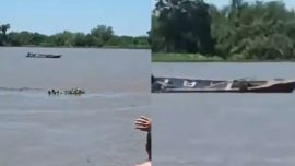 Encontraron una lancha a la deriva en Santa Fe: llevaba los cadáveres de dos hombres y una vaca