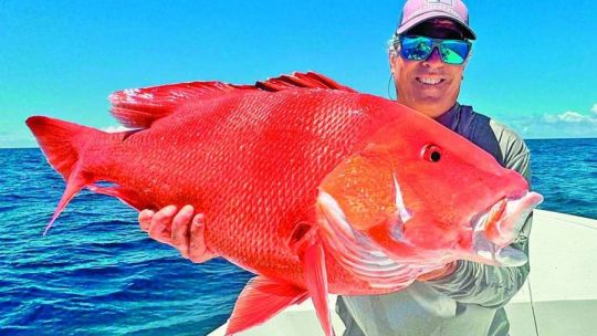 Llegaron los primeros lenguados del verano y las truchas a tu Weekend de enero