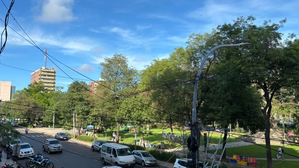 Estacionamiento medido en Resistencia. 