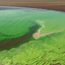 La actualización de este mapa tiene como principal objetivo que bañistas y deportistas no pongan en riesgo su salud en aguas recreativas.