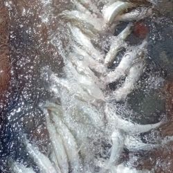 Ante la superposición de estudios y resultados dispares, los expertos valoran que la investigación esté ahora en manos de la justicia, bajo la órbita de la UFI Norte. 