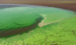 Cianobacterias: 3 municipios bonaerenses en Alerta Roja